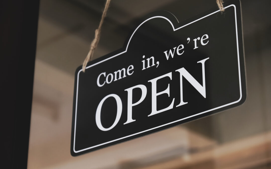 Subchapter V Bankruptcy – A Small Business Lifeline